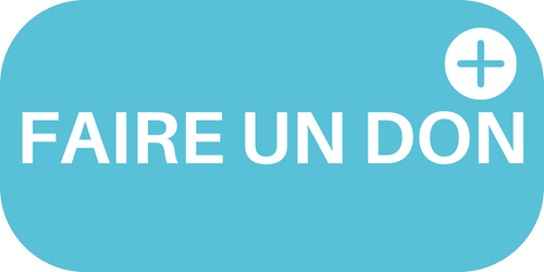 bouton faire un don