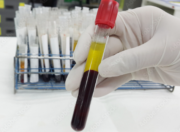 laboratoire