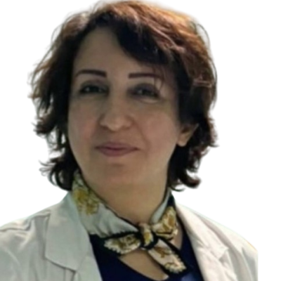 Dr Sadeghi
