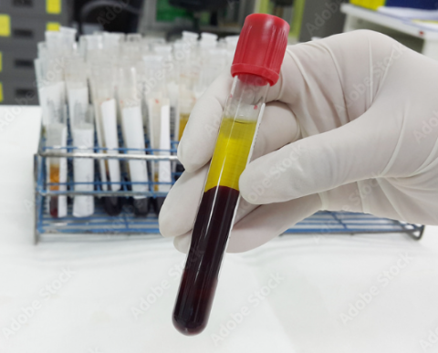 laboratoire